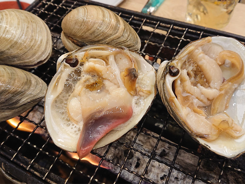 ほっき貝を食す 鵡川漁業協同組合