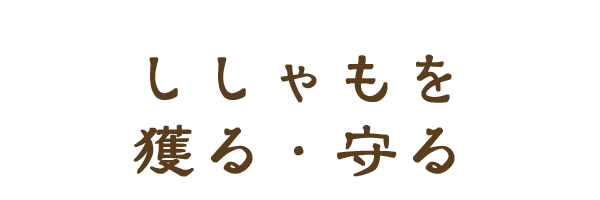 ししゃもを獲る・守る